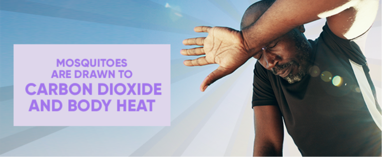 2025_SCJ_off_trivia_v1_response-3-triviaAnsweredImage