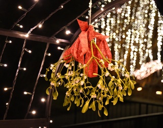 Pucker Up for This Mistletoe Puzzle