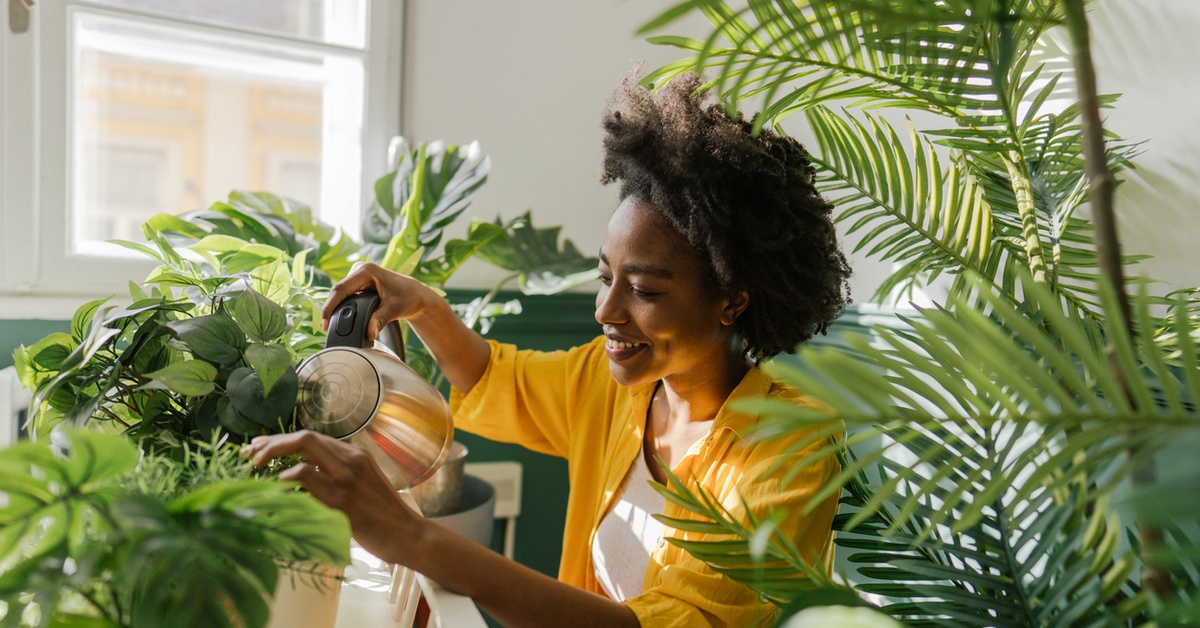 The Best TikTok Hacks to Help Keep Your Plants Alive Dailybreak