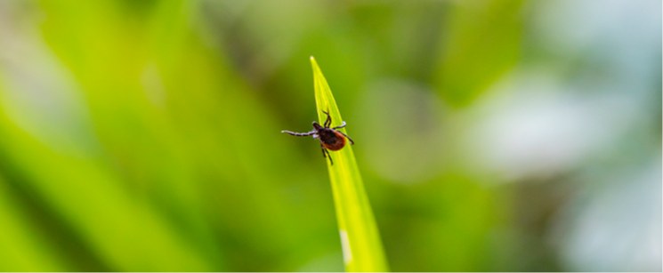 2025_SCJ_off_trivia_response-5-triviaAnsweredImage