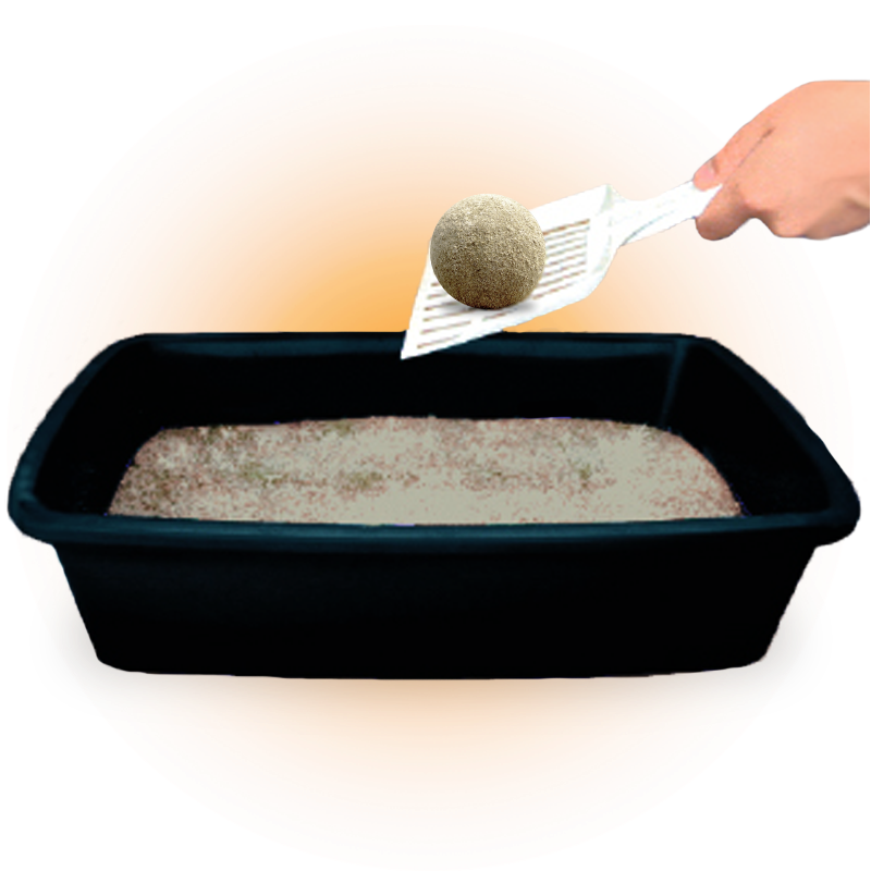 2024_Hardball_Walmart_list_3_5-custom