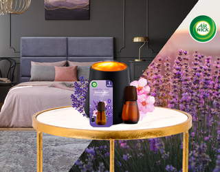 Elevate Your Everyday