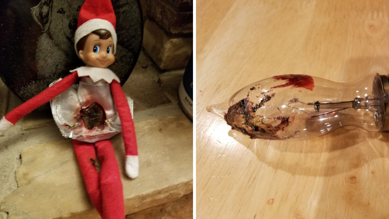 Elf on the Shelf Fails Remind Us That They Aren't Immortal Dailybreak