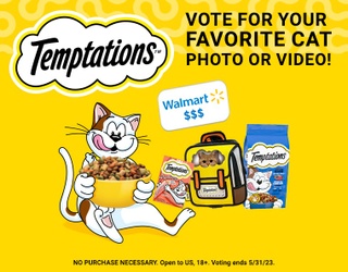 Cats Lose Their Cool™ Contest