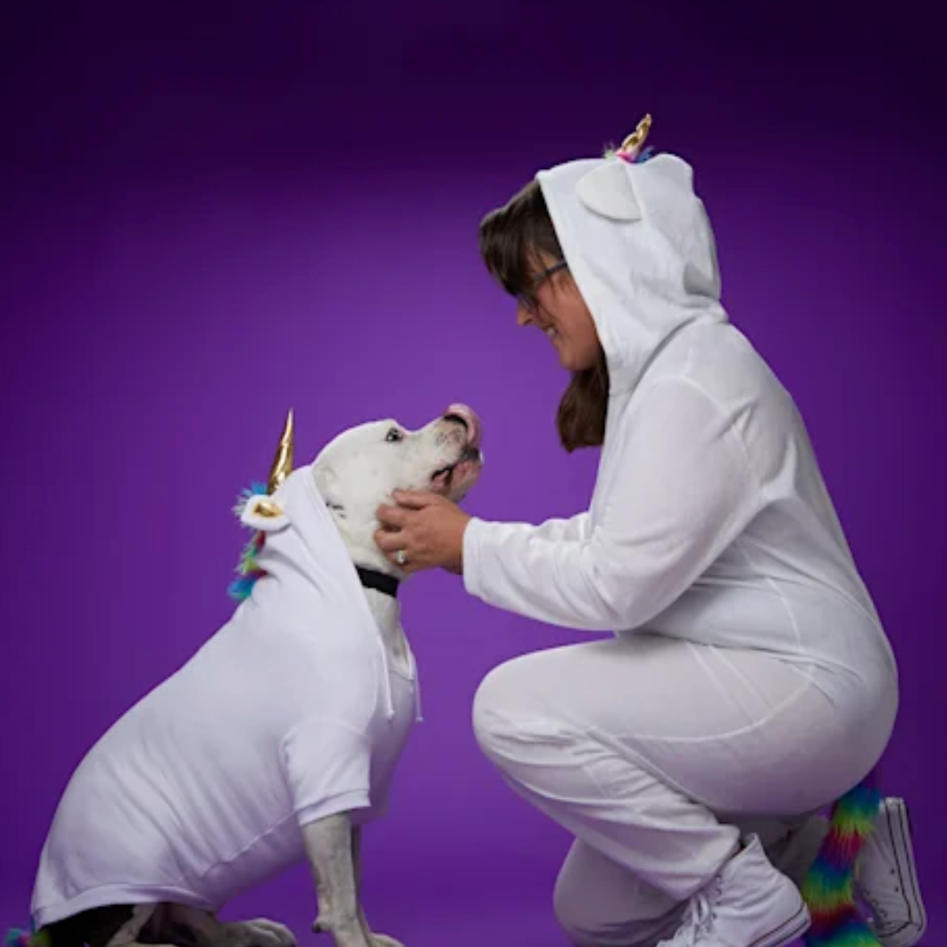 unicorn halloween costumes