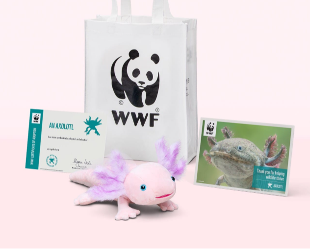 wwf-custom