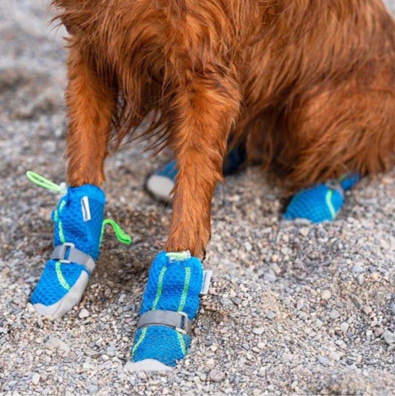 Pawtectors dog clearance boots