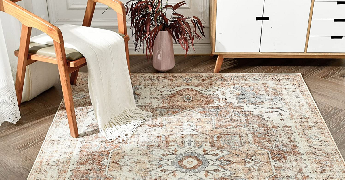 The Cutest Rugs on Amazon to Give Your Apartment an Upgrade Dailybreak