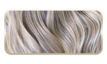 2026_SK_pqQ1---2-personalityAnswer