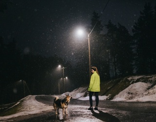 Why Your Dog Acts Different After Dark