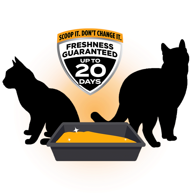 2024_Hardball_Walmart_list_2_1-custom