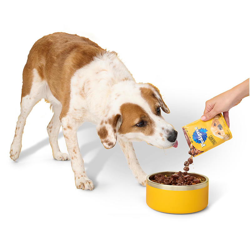 2026_Pedigree_list_Delicious-Recipes-Dogs-Love-custom