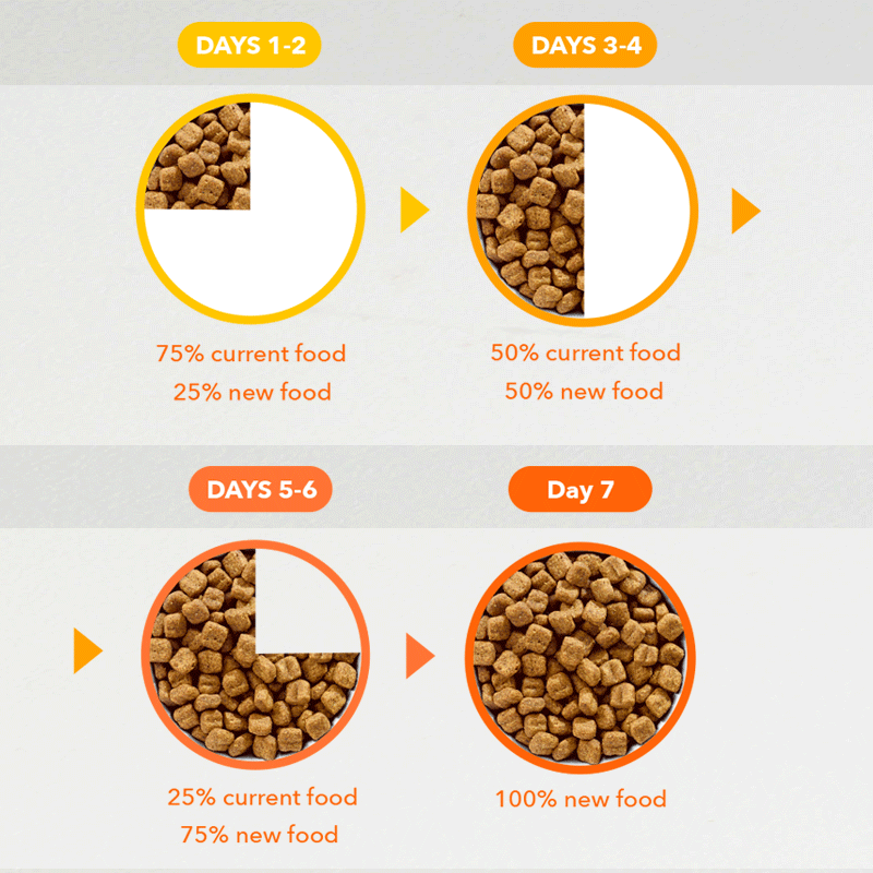 2023_KittenWise_list_v1_TRANSITIONING-YOUR-KITTEN'S-DRY-FOOD-custom