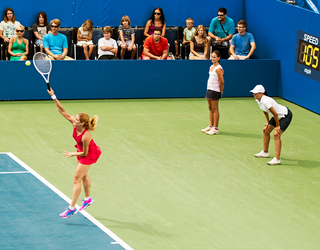 Serve Up a Win in This Spot the Difference