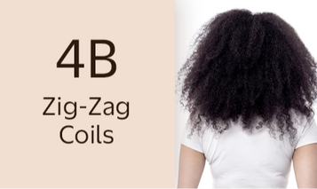 Back view of type 4B zig-zag coils hair pattern, labeled Zig-Zag Coils.