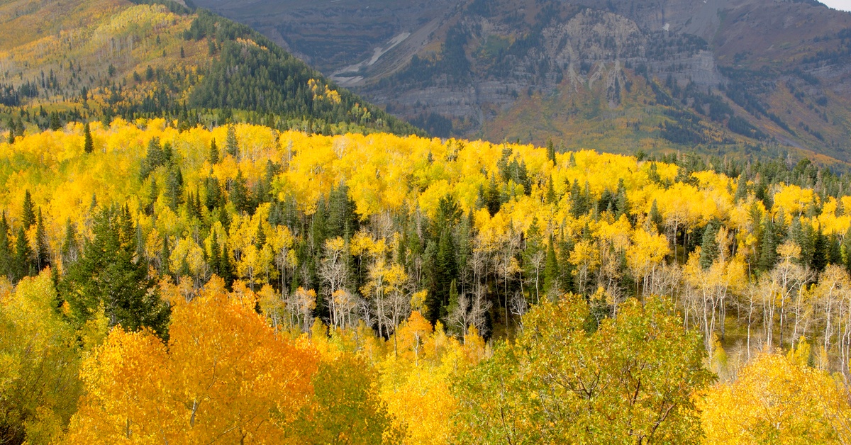 Escape to Mountains of Utah With This RichlyColored Puzzle Dailybreak