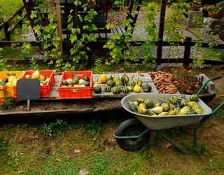 We Never Know Where The 10 Best Food Finds Of September Will Take Us