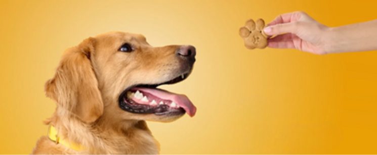 2025_pedigree_trivia_v2_question-3-triviaAnsweredImage