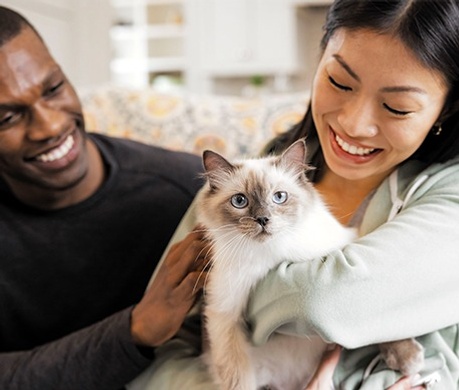 2023_KittenWise_list_BRAIN FOOD-custom